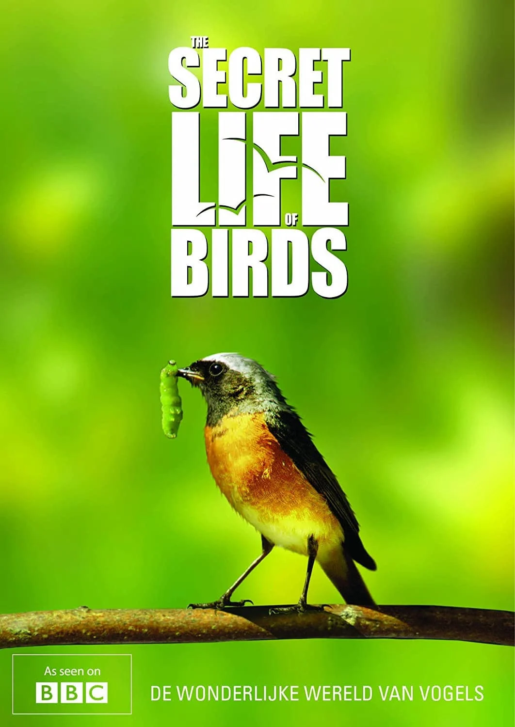 Bí ẩn cuộc sống loài chim - The Secret Life of Birds