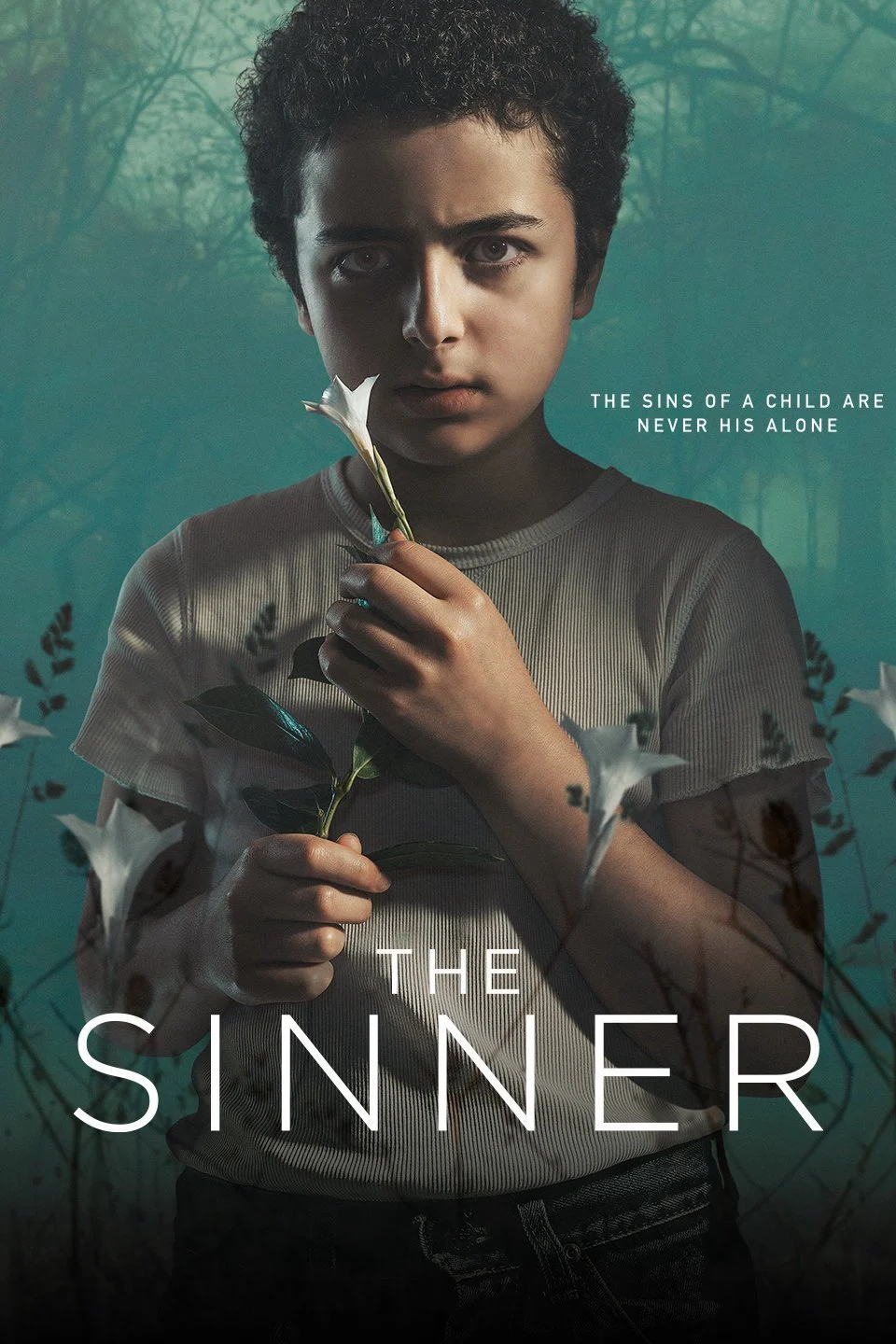 Kẻ tội đồ (Phần 1) - The Sinner (Season 1)