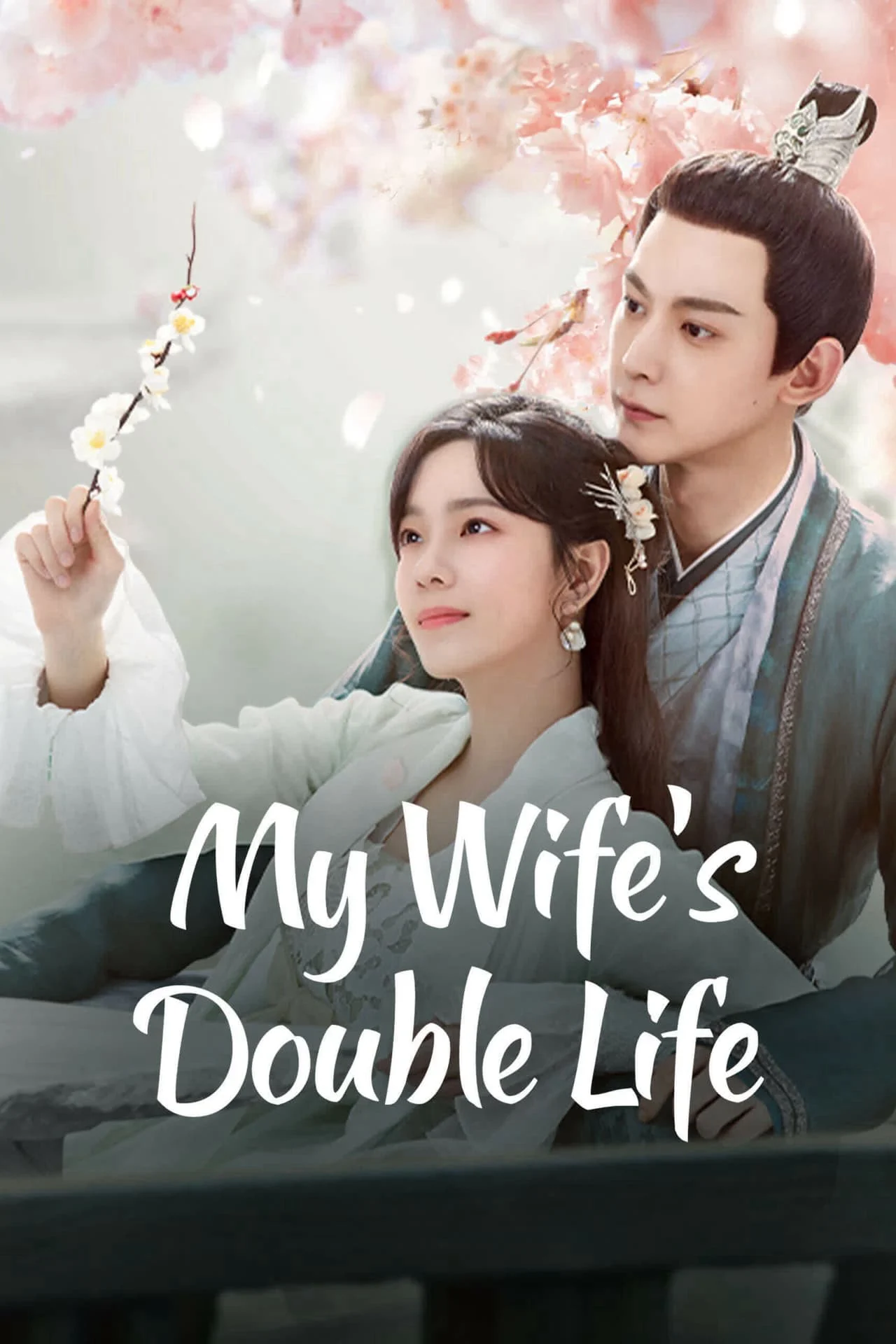 Liễu Diệp Trích Tinh Thần - My Wife's Double Life